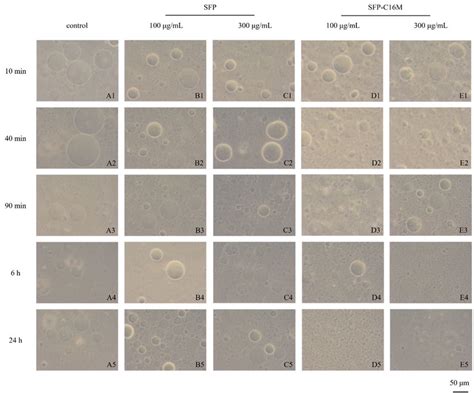 Morphology Of Guvs After Min Min Min H And H Of