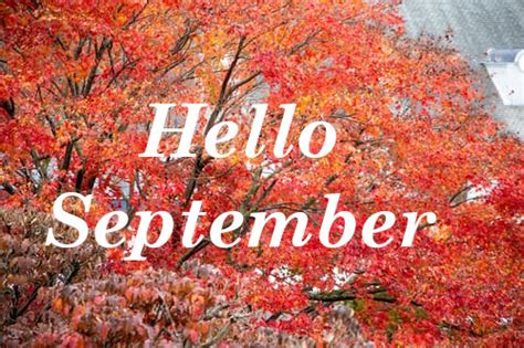 Top 10 Good Morning Hello September Images Pictures Photos Greetings For Whatsapp Good Morning