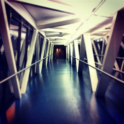 From Ferry Tunnels To Coffee Lairs Discovering Seattle S Warmest Surprises news