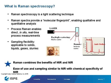 ADVANCES IN RAMAN SPECTROSCOPY FOR INLINE REALTIME BIOPROCESS