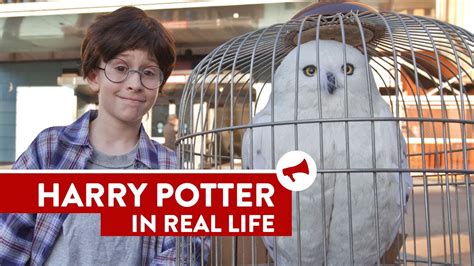 Is Harry Potter real? – ouestny.com