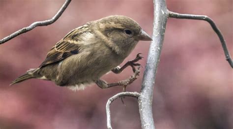 Importance Of Shutter Speed Small Sensor Photography By Thomas Stirr