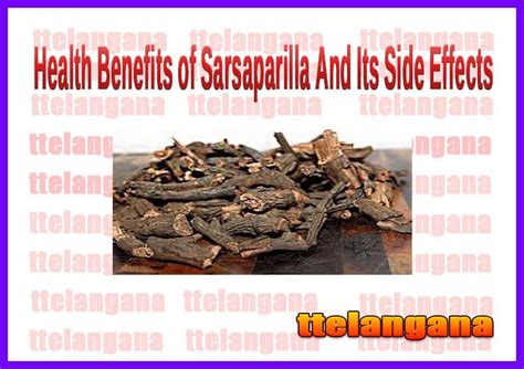 Health Benefits of Sarsaparilla And Its Side Effects