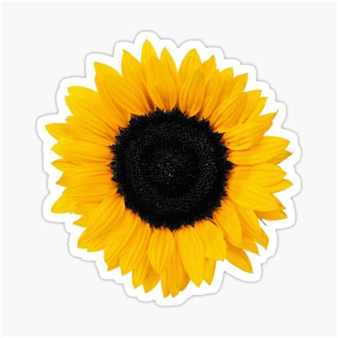 Fuck Putin I Stand With Ukraine Heckinfarout Sticker By Heckinfarout Redbubble