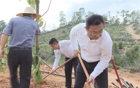 我县开展2023年推进绿美广东生态建设义务植树活动 揭西 行动 树种