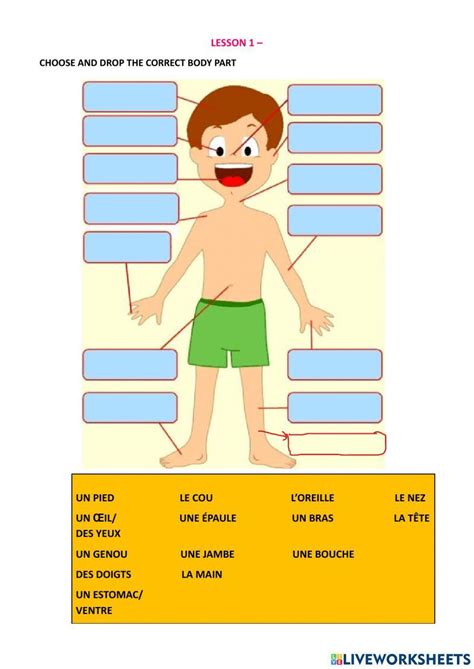 Body Parts Les Parties Du Corps Online Exercise For Live Worksheets