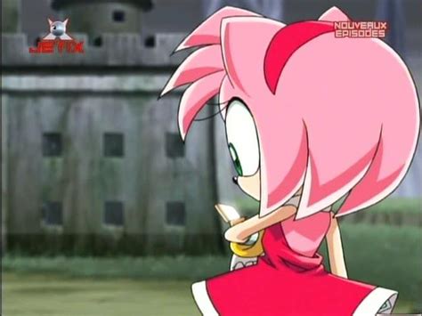 Amy Rose - Sonic the Hedgehog Photo (31215248) - Fanpop