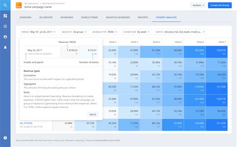 Dribbble - dashboard_campaign_cohort_roas_adgroupsweeks.png by Gregory ...