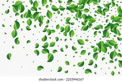 Swamp Foliage Fly Vector Transparent Background Stock Vector Royalty