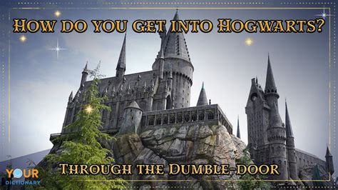 Harry Potter Puns: Spellbinding Laughs Await! - The Funny Puns