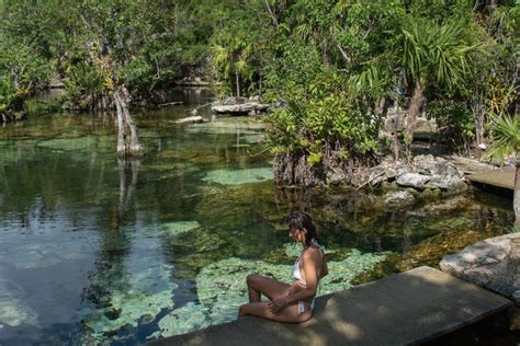 Cenote Azul, Playa del Carmen: A Complete Guide (2024)