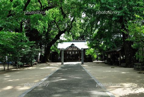 福岡県那珂川町の現人神社参道と拝殿 写真素材 4197434 フォトライブラリー Photolibrary