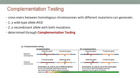 Lecture Snps Linkage Positional Cloning Mapping Within