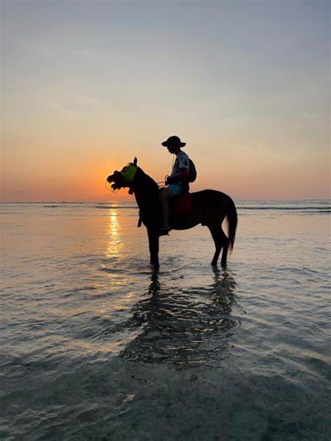 Paardrijden Op Het Strand Op Gili Eiland GetYourGuide