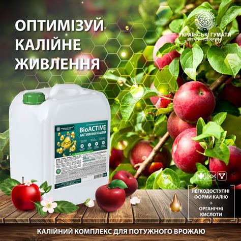 Купить Гумат калия в интернет-магазине ROZETKA | 💲 Цены, отзывы, продажа