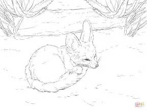 Coloriage Fennec roulé en boule Coloriages à imprimer gratuits