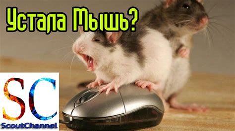 Прокручивает колесико мышки ремонт - YouTube