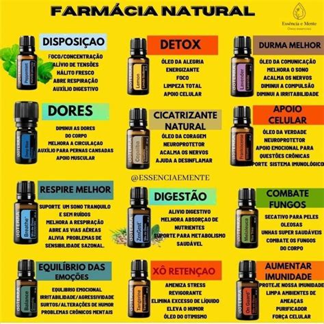 Veja Como A Aromaterapia Pode Te Ajudar In Terra Oils