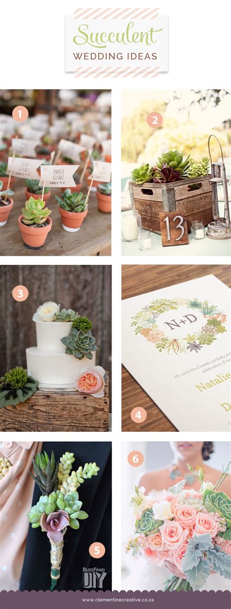 Succulent Wedding Ideas Best Succulent Ideas