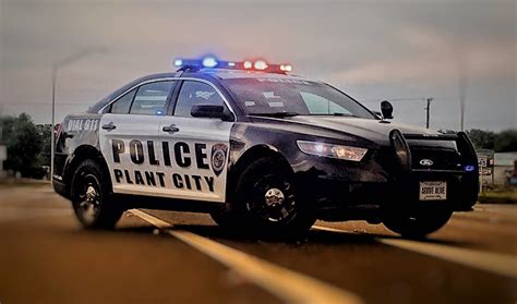 Who Would Shoot A Puppy? Plant City Police Want To Know | Plant City ...