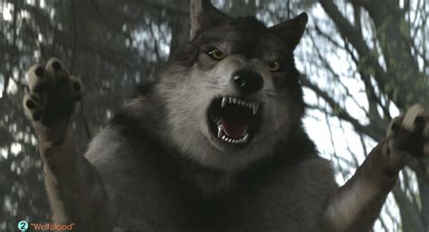 Image Ceripng Wolfblood Wiki Fandom Powered By Wikia