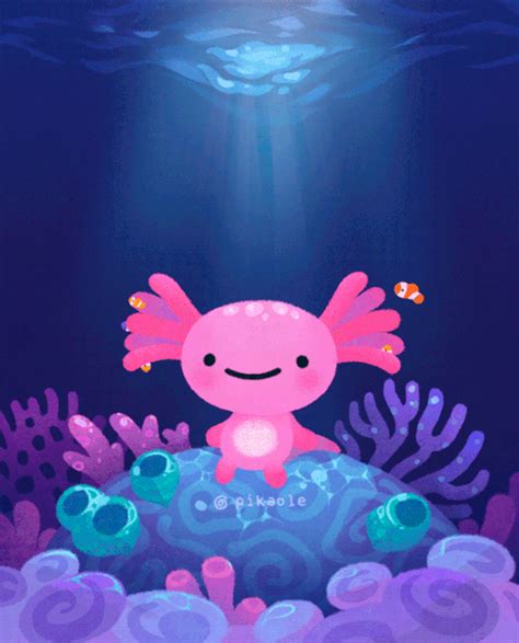 Coral Axolotl Themes On Behance