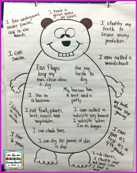 groundhog anchor chart – The Kindergarten Smorgasboard