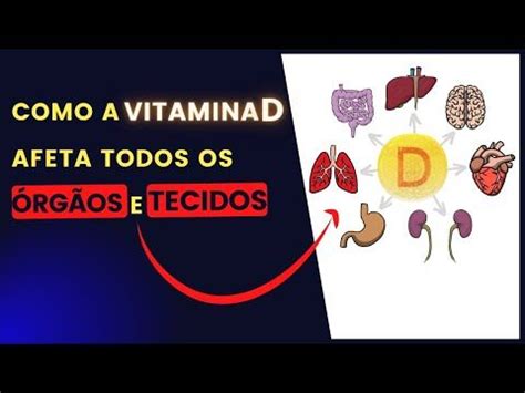 Vitamina D para que Serve e Qual Melhor Horário para Tomar Vitamina d