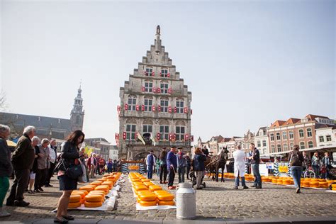 Gouda cheese market - Dutch Countryside