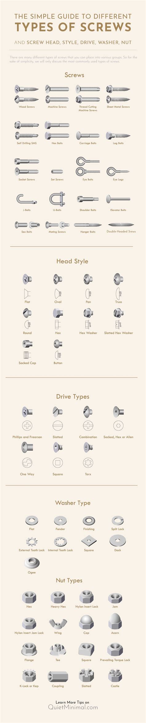 Chart Types Of Screws And Screw Heads Infographic Minimalism Interior