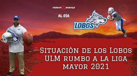 Est N Preparados Los Lobos Ulm Para Debutar En La Liga Mayor