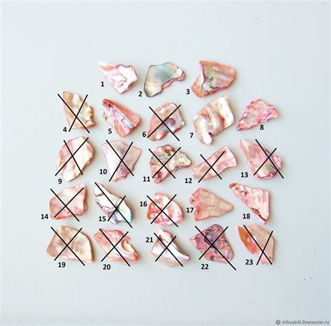 Перламутр натуральный, природный. Гелиотис. 20-25мм купить в интернет ...