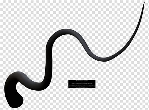 Fune Tentacle Black Cord Transparent Background PNG Clipart HiClipart