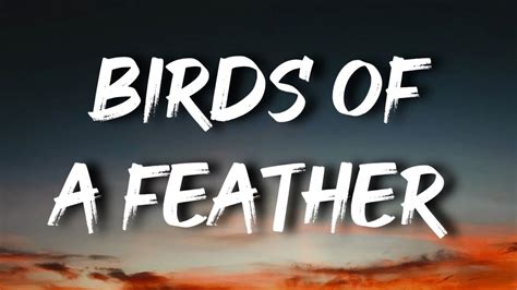 Billie Eilish Birds Of A Feather Lyrics Youtube