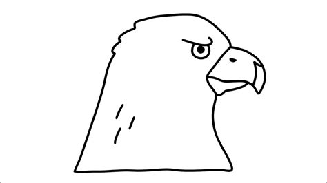 How To Draw A Hawk Youtube