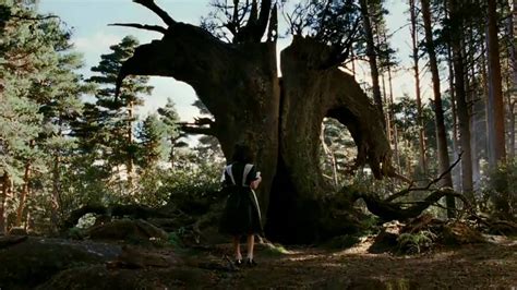 Pans Labyrinth Trailer Hd Youtube