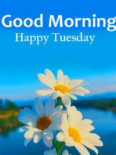 Good Morning Tuesday Good Morning Tuesday Inspirational Quotes For