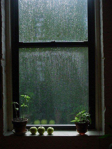 Watching The Rain From Inside Rainy Night Rainy Days Rainy Mood