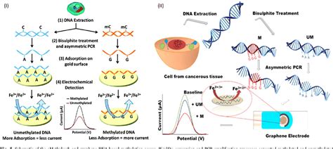 Electrochemical Biosensing Strategies For DNA Methylation Analysis