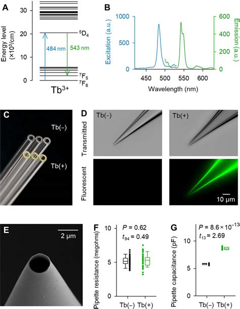 Tb Doped Pipettes Emit Green Fluorescence A Partial Energy Level