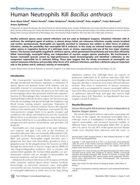 Pdf Human Neutrophils Kill Bacillus Anthracis