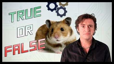 Hamsters True Or False Richard Hammonds Tech Head Youtube