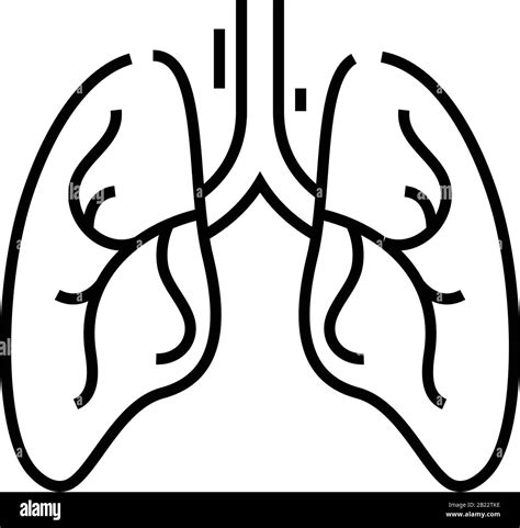 Lungs Line Icon Concept Sign Outline Vector Illustration Linear