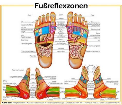 Fußreflexzonentafel Fußreflexzonenmassage Reflexzonenmassage Gesundheit Und Fitness