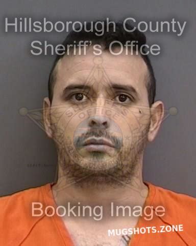 NAVARRO SARRAGA CARL 07 09 2023 Hillsborough County Mugshots Zone