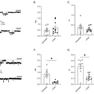 Targeted Activation Of Gq In Principal Cells Is Sufficient To Increase