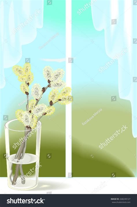 Pussy Willow Branches Glass Vase Window Stock Vector Royalty Free 268249127 Shutterstock