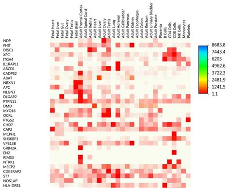 Funrich Functional Enrichment Analysis Tool Home