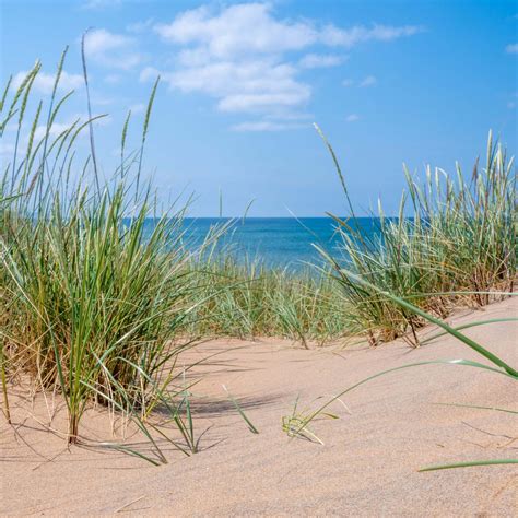 sandstrand neben einem campingplatz  der westkueste camping vaestkust