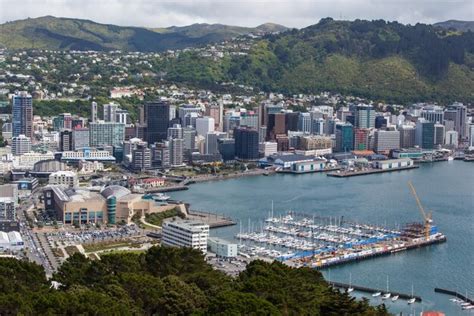 Premium Photo View From Mt Victoria Over Wellington New Zealand